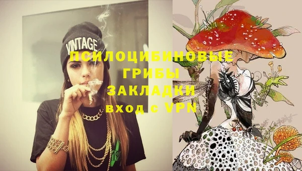 гидра Белокуриха
