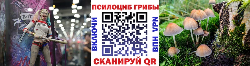 кракен онион Ярцево Псилоцибиновые грибы мухоморы